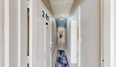 Bonnie’s Arch 202 3D Model